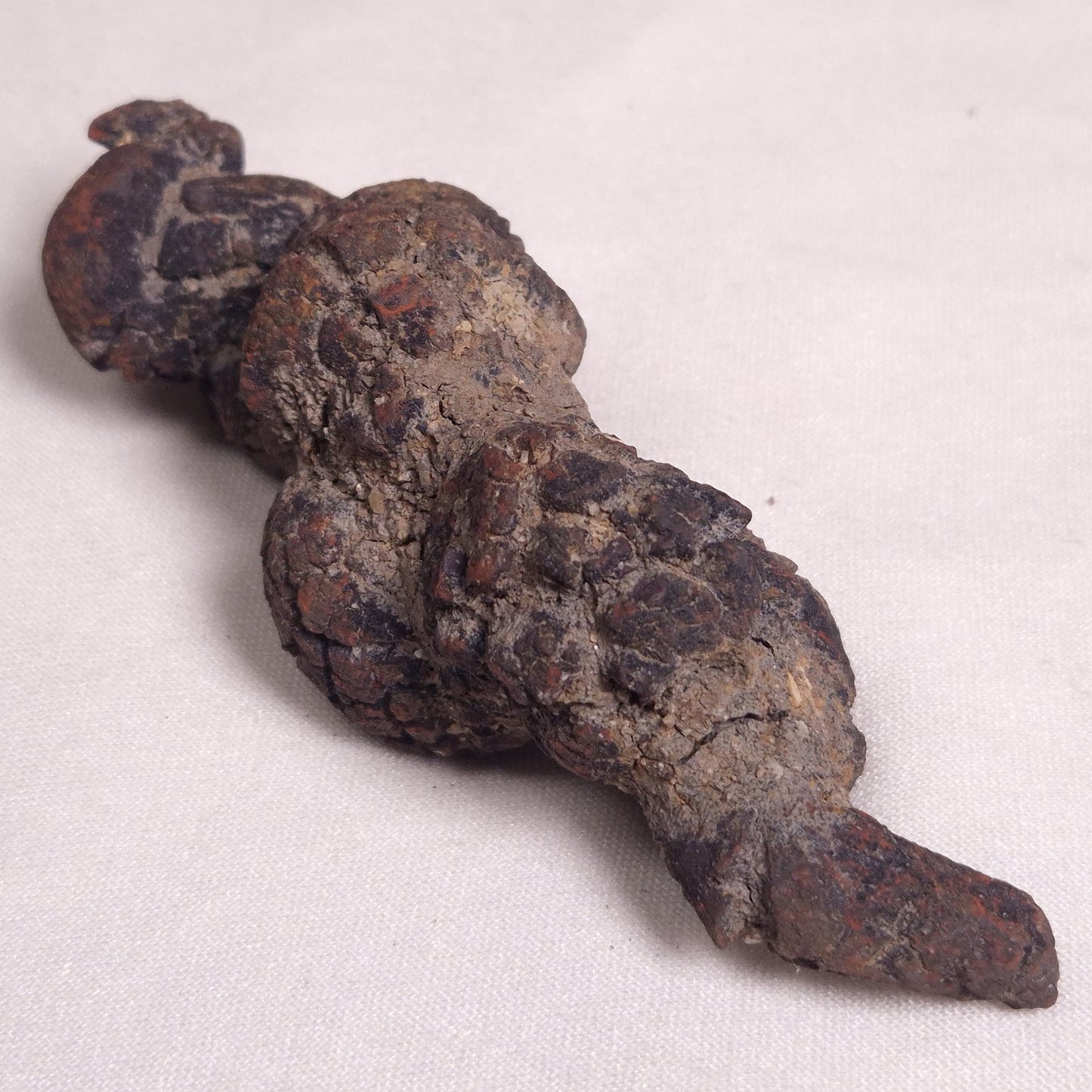 COPROLITE (FOSSILISED POO), Eocene, Madagascar XCF005