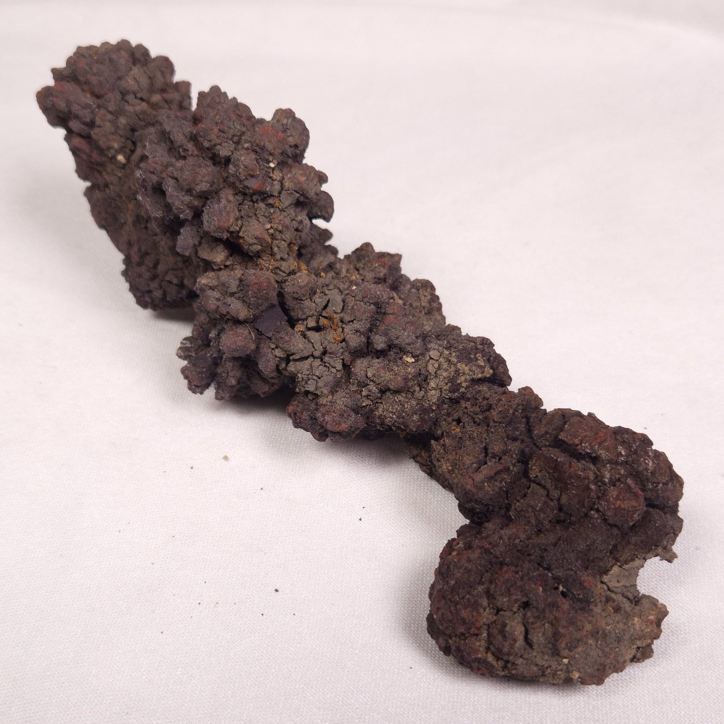 COPROLITE (FOSSILISED POO), Eocene, Madagascar XCF009