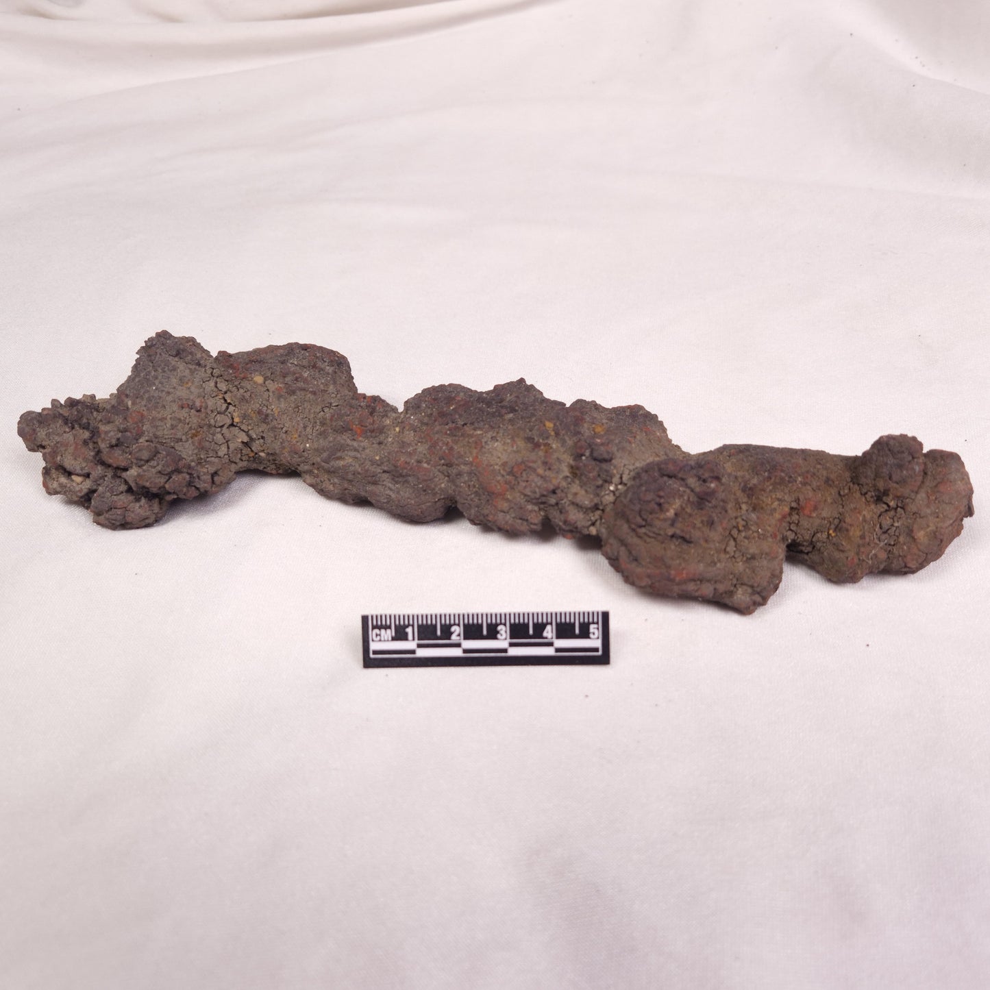 COPROLITE (FOSSILISED POO), Eocene, Madagascar XCF010
