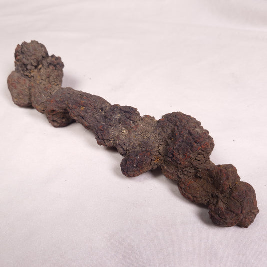 COPROLITE (FOSSILISED POO), Eocene, Madagascar XCF010