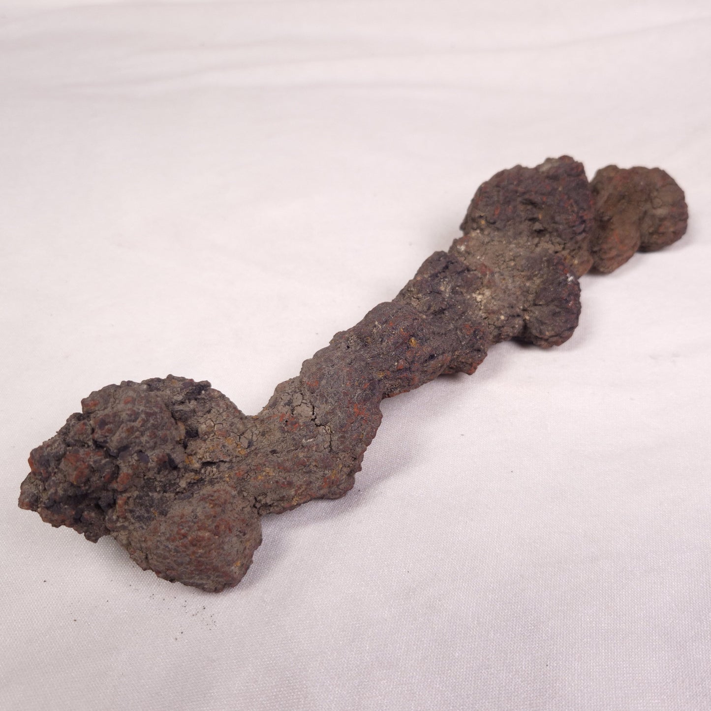 COPROLITE (FOSSILISED POO), Eocene, Madagascar XCF010