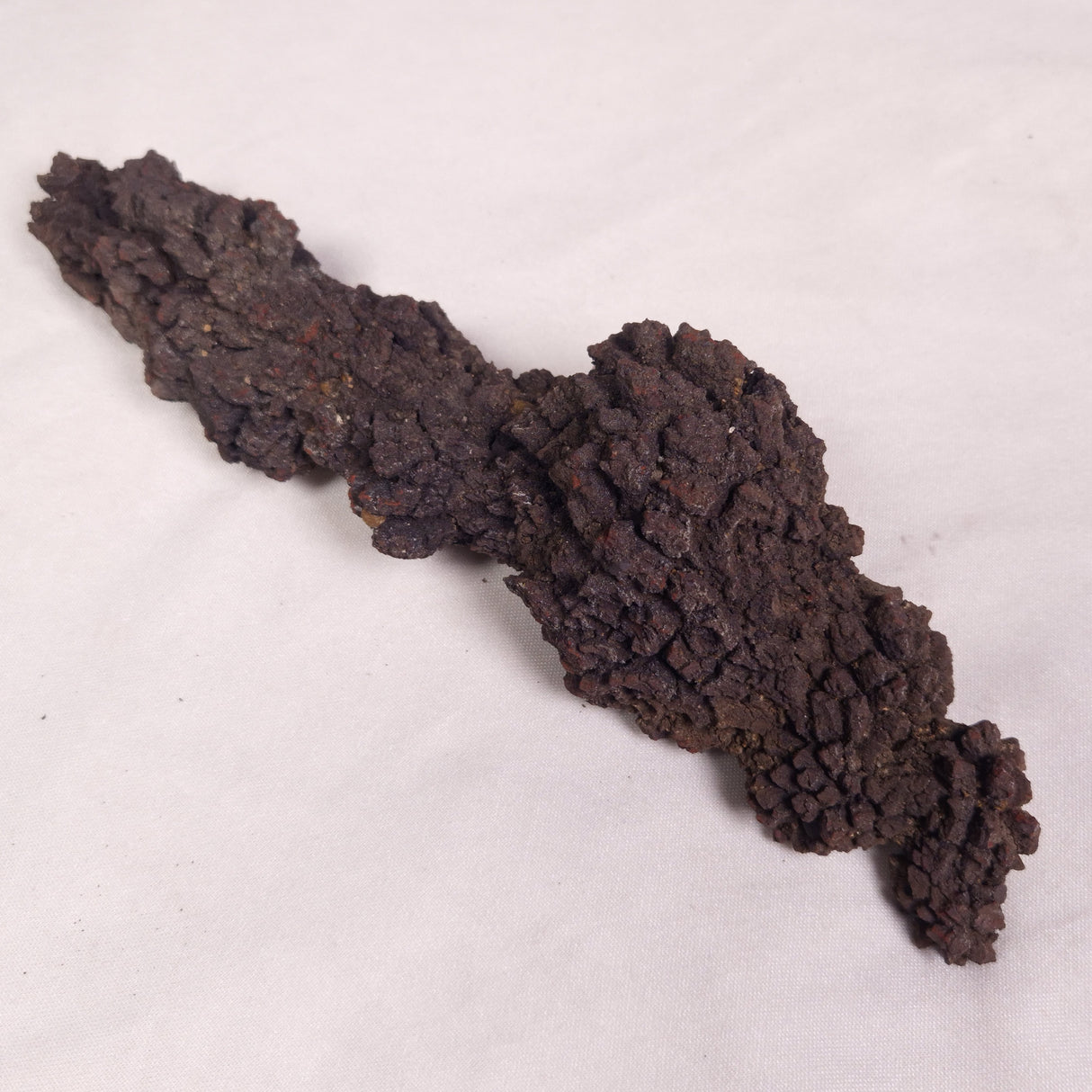 COPROLITE (FOSSILISED POO), Eocene, Madagascar XCF011