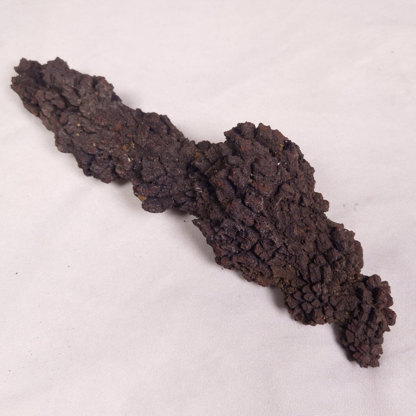 COPROLITE (FOSSILISED POO), Eocene, Madagascar XCF011