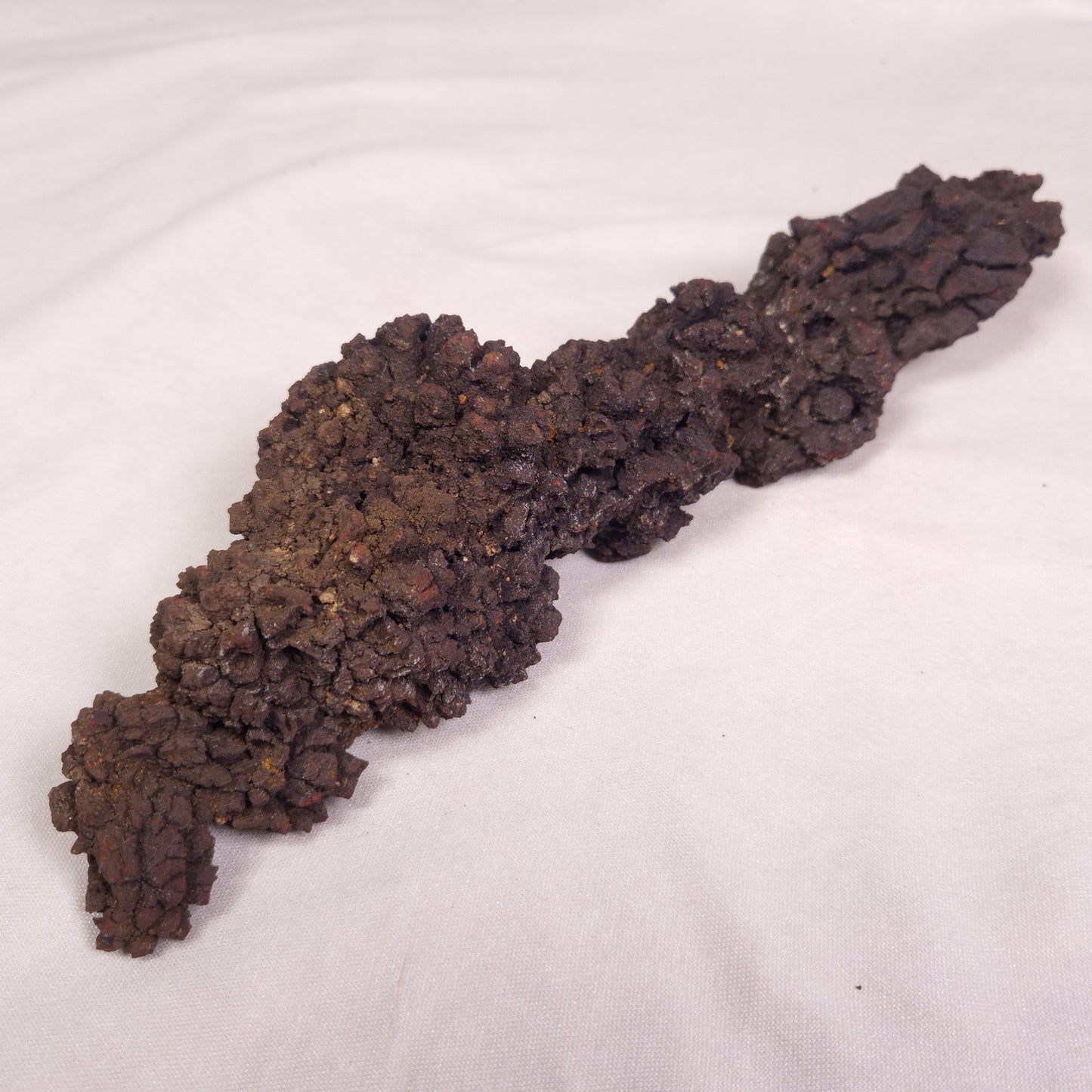 COPROLITE (FOSSILISED POO), Eocene, Madagascar XCF011
