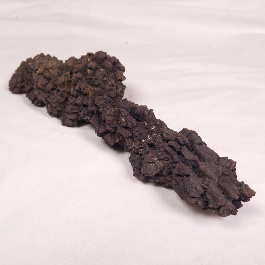 COPROLITE (FOSSILISED POO), Eocene, Madagascar XCF011