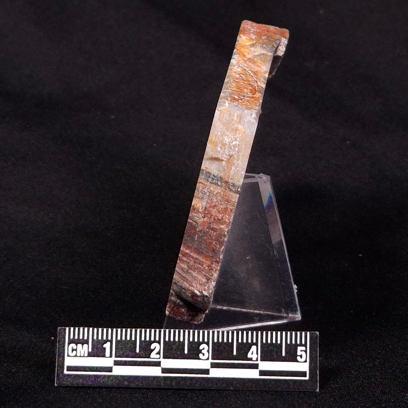 STROMATOLITE, Jerrinah Formation, Proterozoic, Australia ZJF029