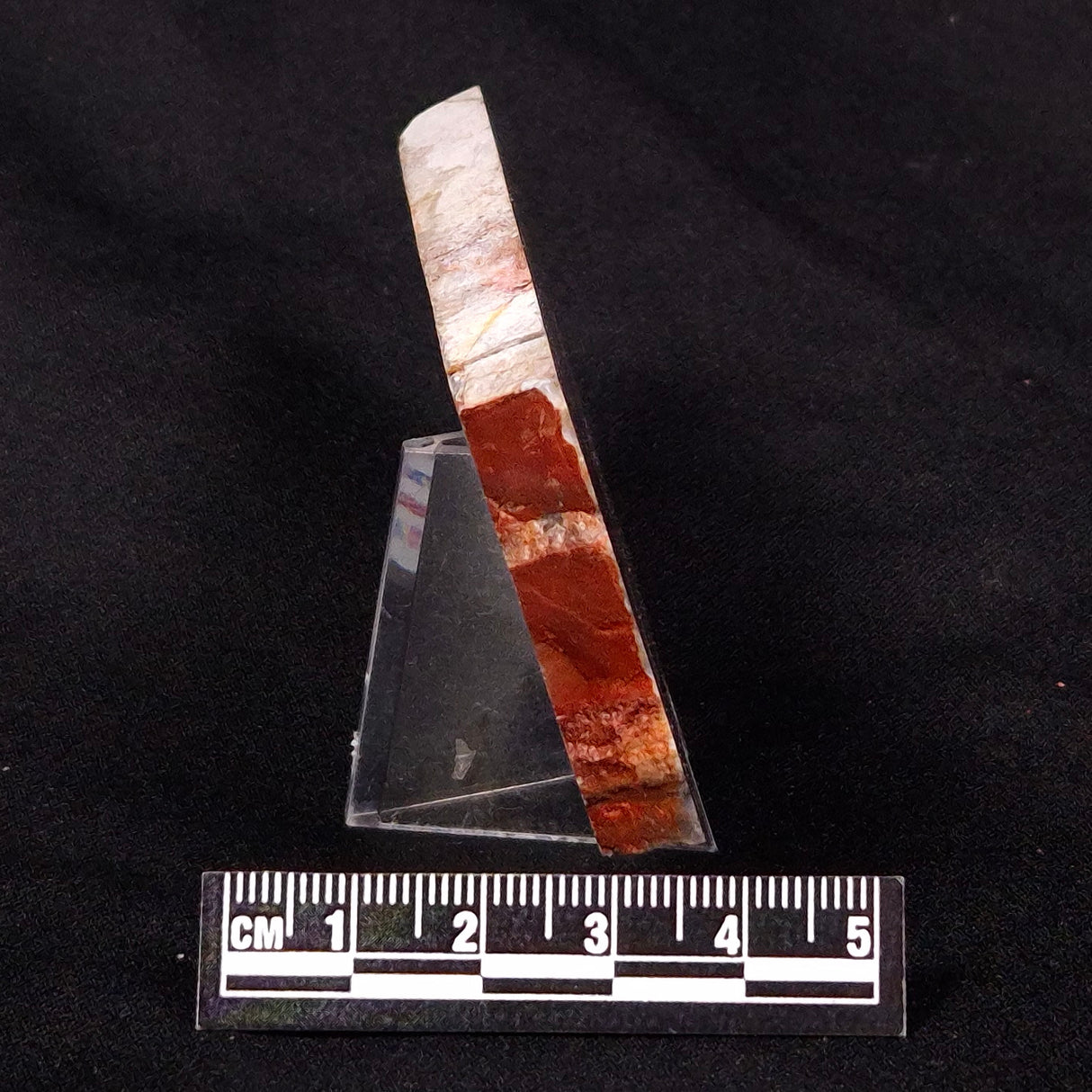 STROMATOLITE, Jerrinah Formation, Proterozoic, Australia ZJF030