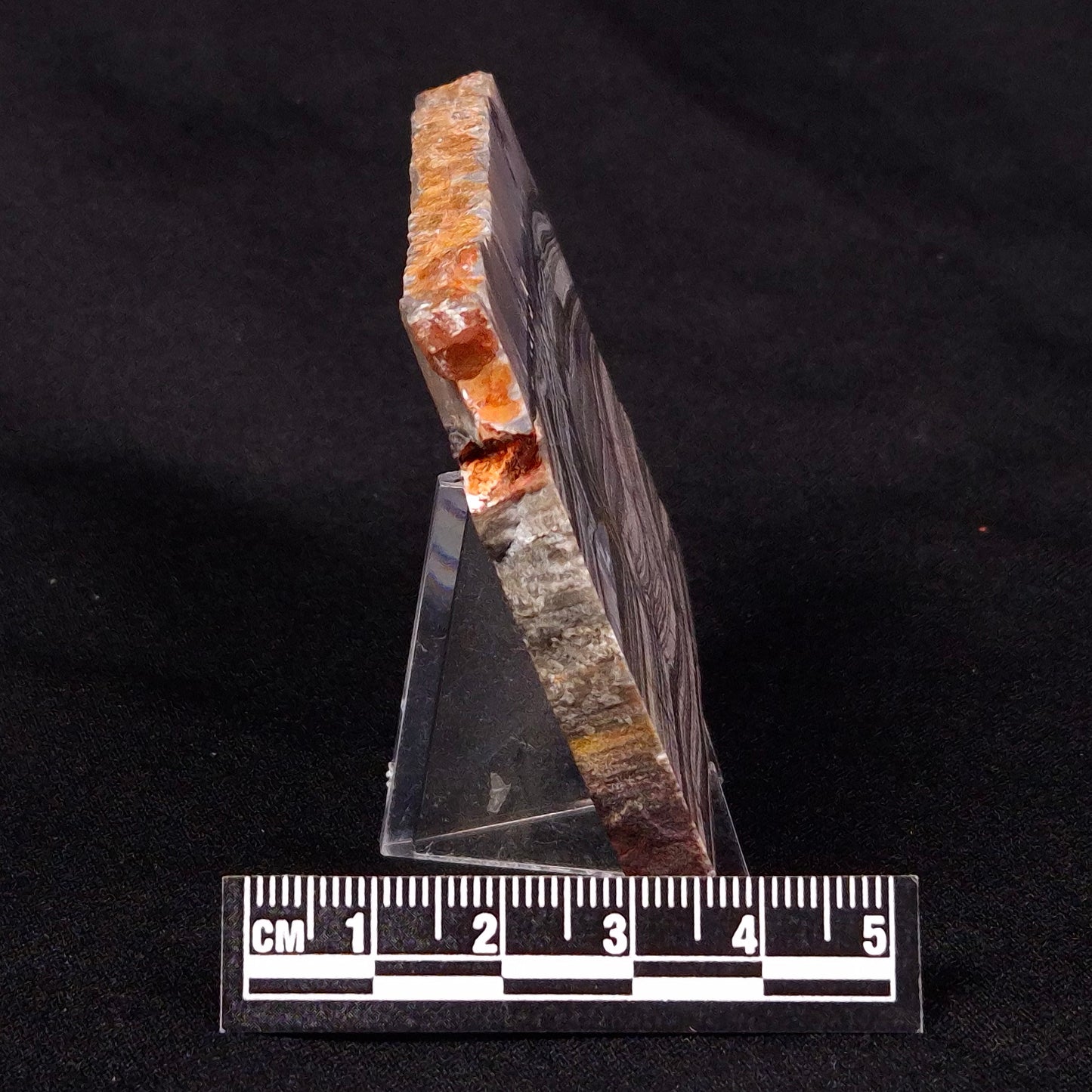 STROMATOLITE, Jerrinah Formation, Proterozoic, Australia ZJF031