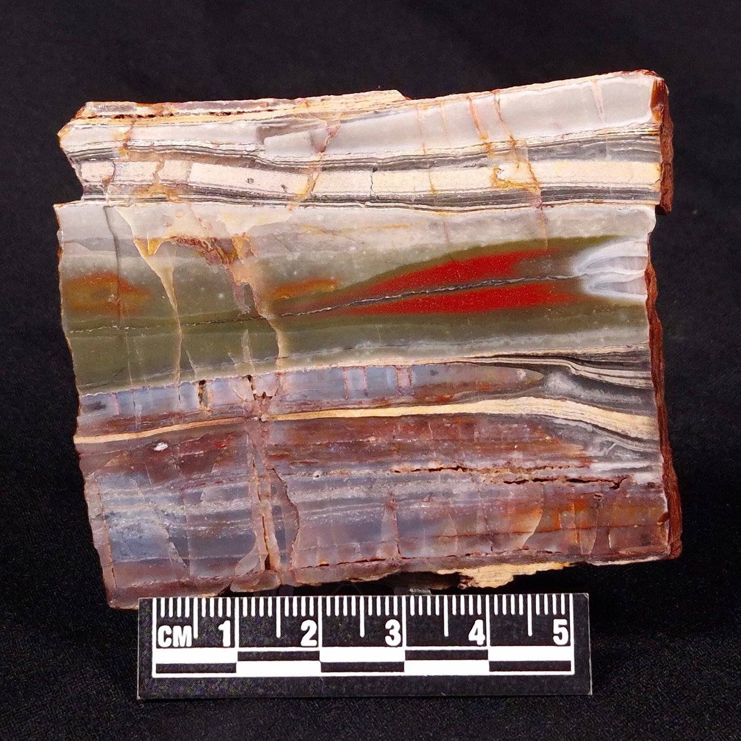 STROMATOLITE, Jerrinah Formation, Proterozoic, Australia ZJF032