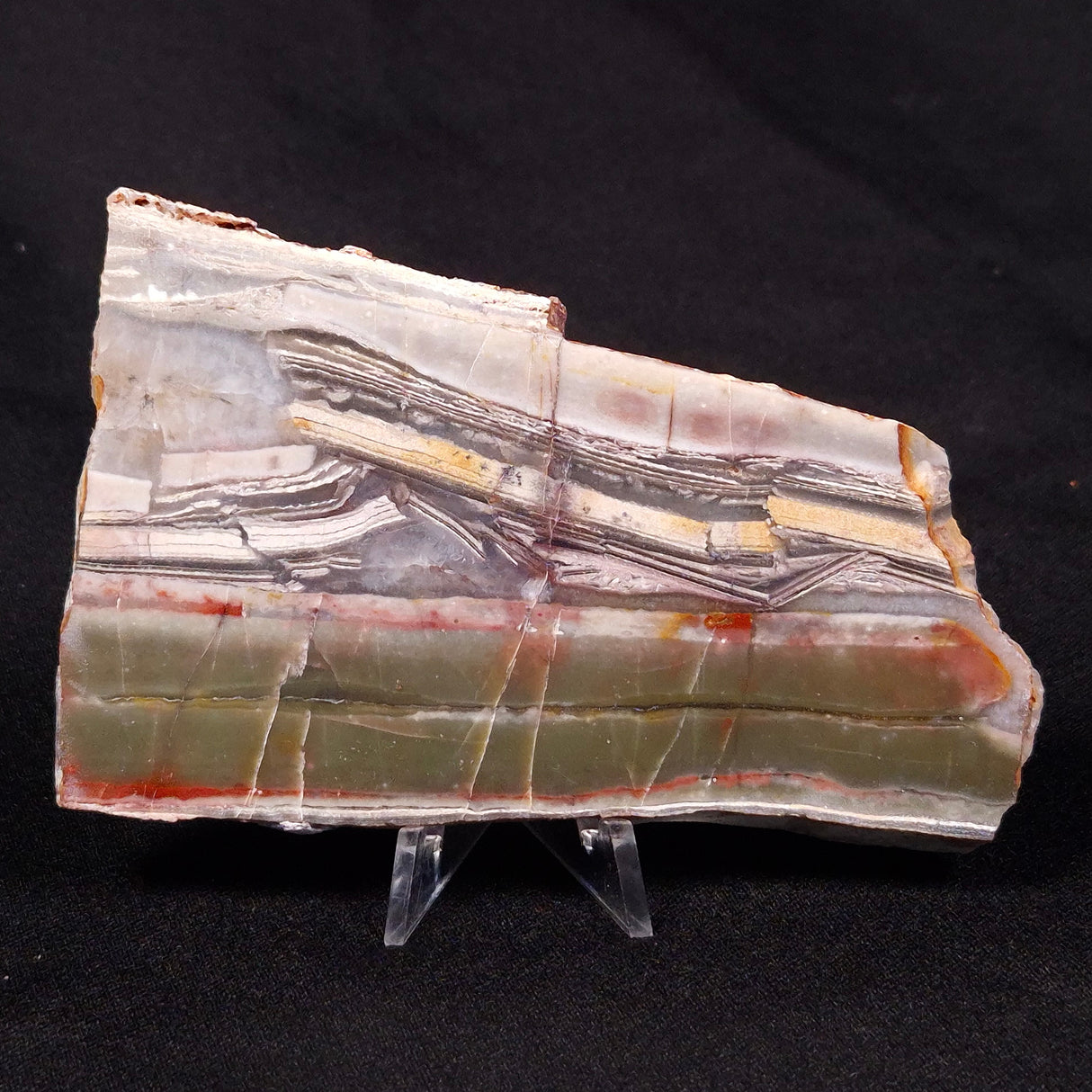 STROMATOLITE, Jerrinah Formation, Proterozoic, Australia ZJF034