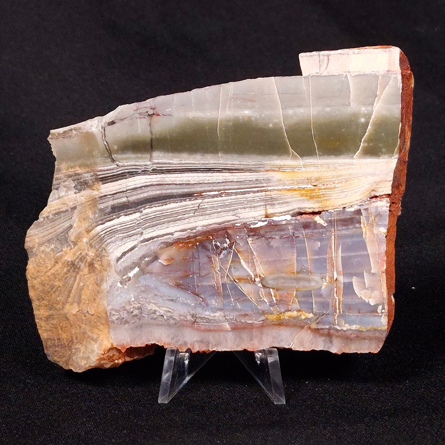 STROMATOLITE, Jerrinah Formation, Proterozoic, Australia ZJF035