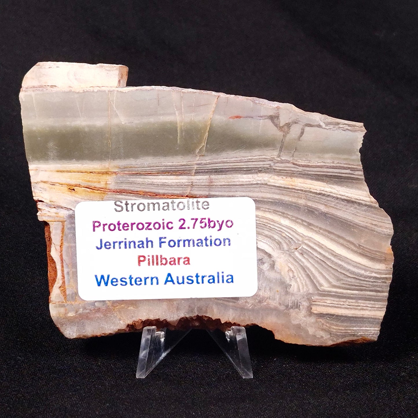 STROMATOLITE, Jerrinah Formation, Proterozoic, Australia ZJF035