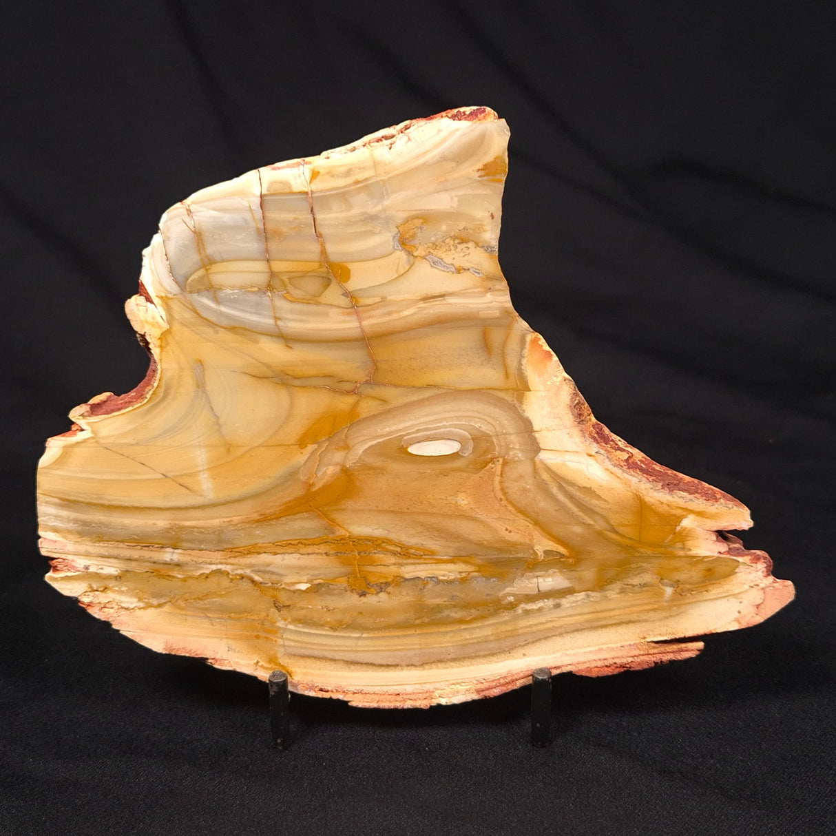 CAMOOWEAL DOLOSTONE CHERT MICROBIAL, Middle Cambrian, Australia ZCD014