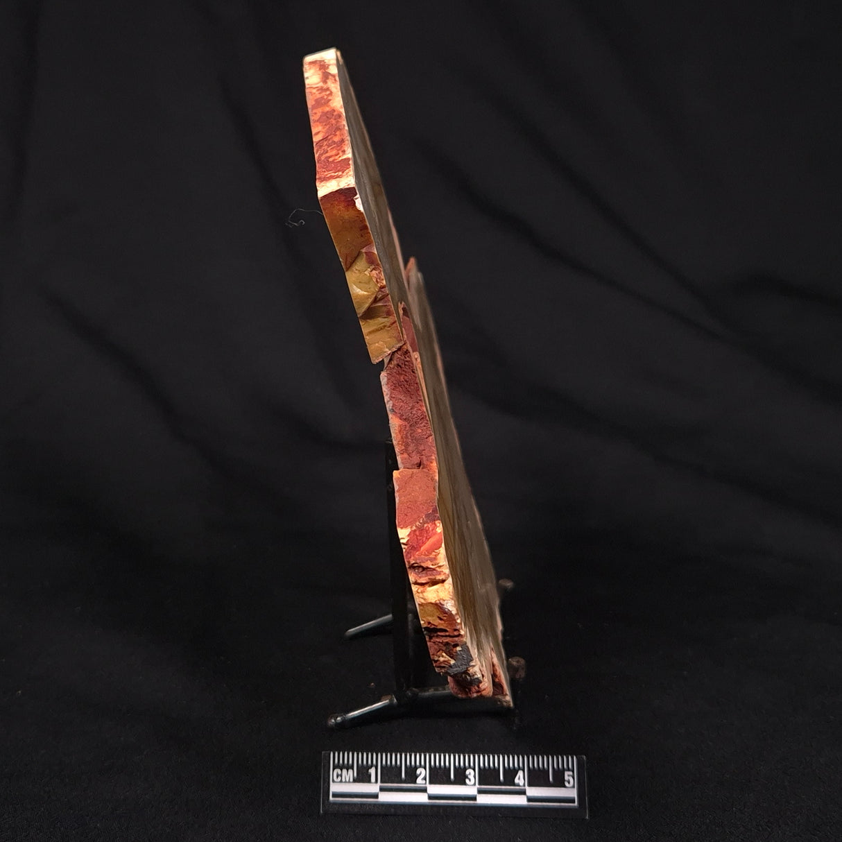 CAMOOWEAL DOLOSTONE CHERT MICROBIAL, Middle Cambrian, Australia ZCD016