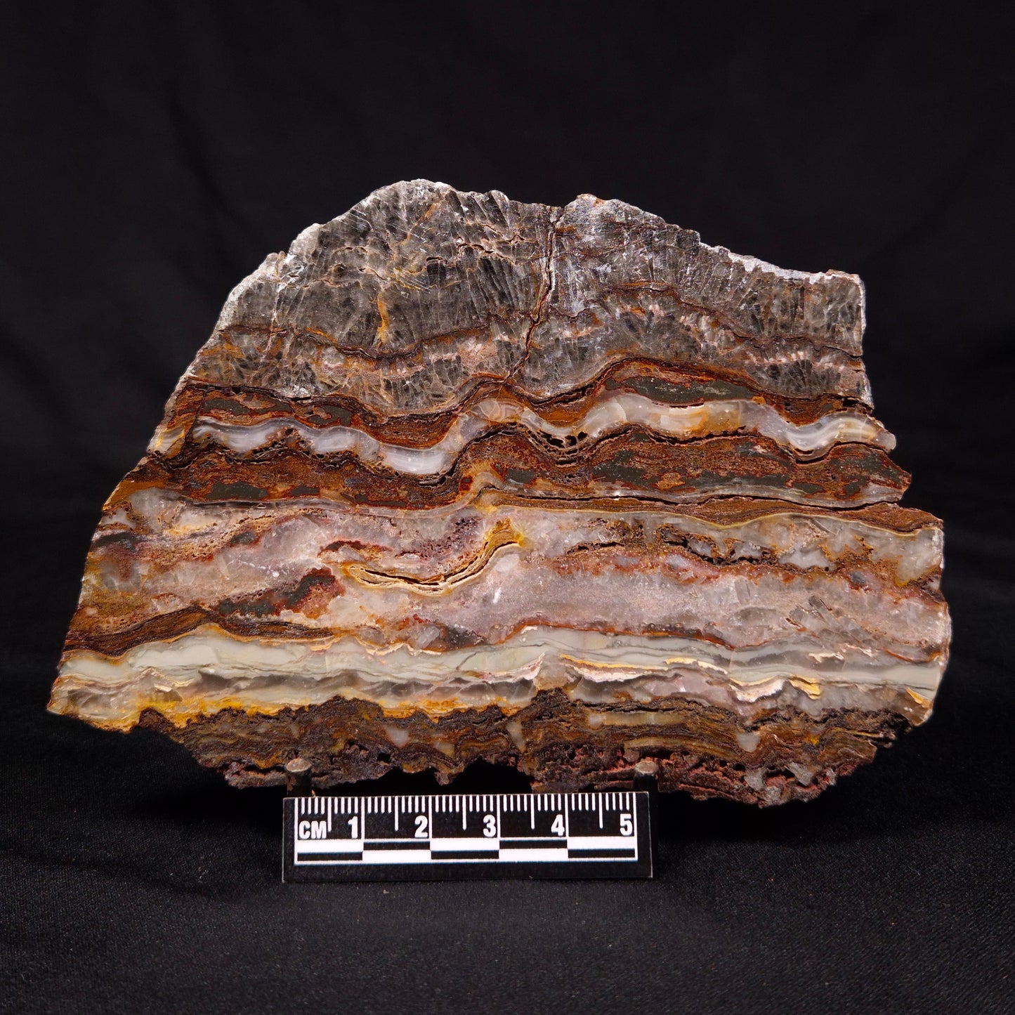 STROMATOLITE MICROBIAL MAT, Archean, Dresser Formation, Australia ZDF023