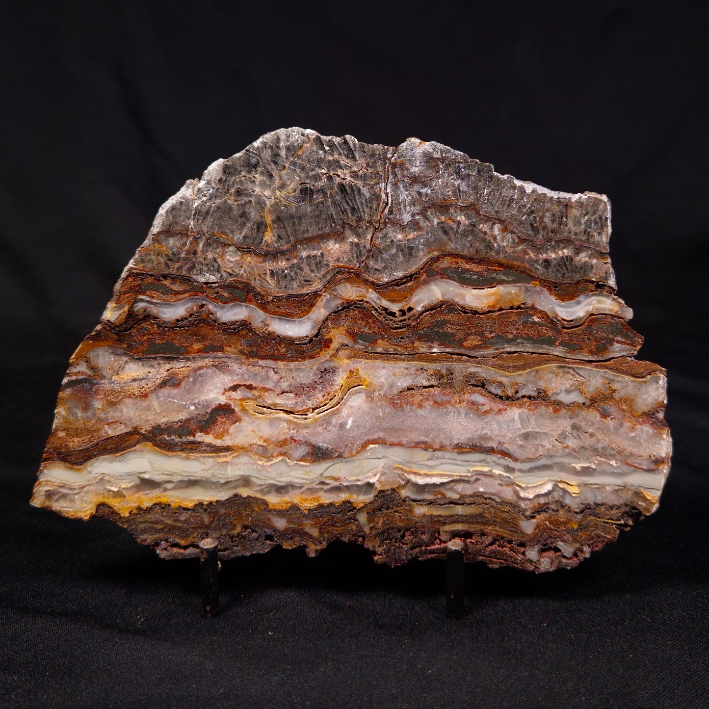 STROMATOLITE MICROBIAL MAT, Archean, Dresser Formation, Australia ZDF023