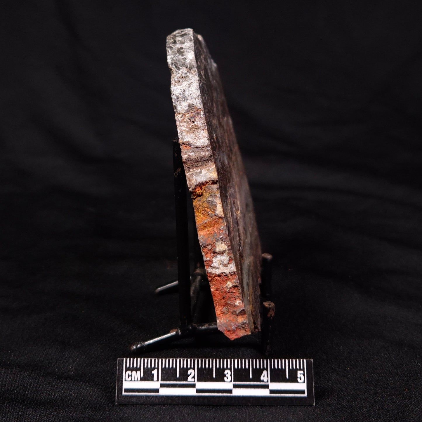 STROMATOLITE MICROBIAL MAT, Archean, Dresser Formation, Australia ZDF023