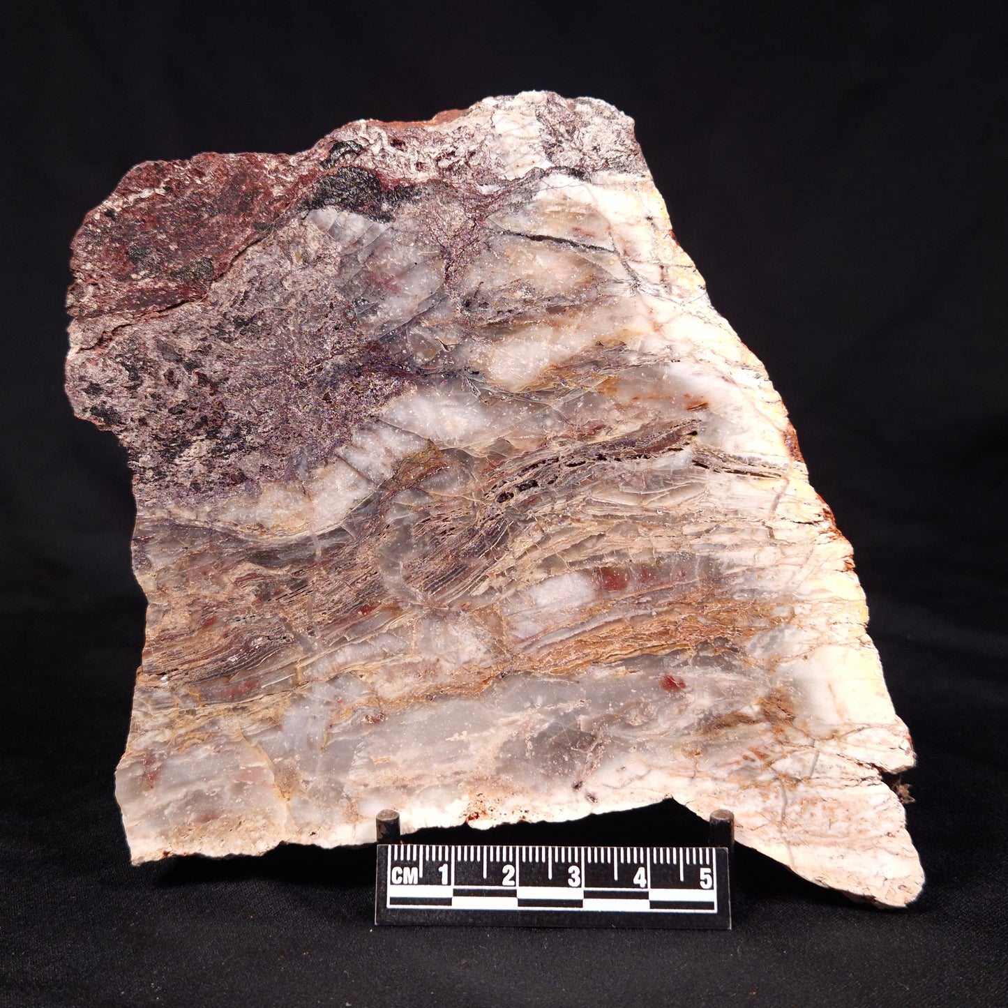 STROMATOLITE MICROBIAL MAT, Archean, Dresser Formation, Australia ZDF024