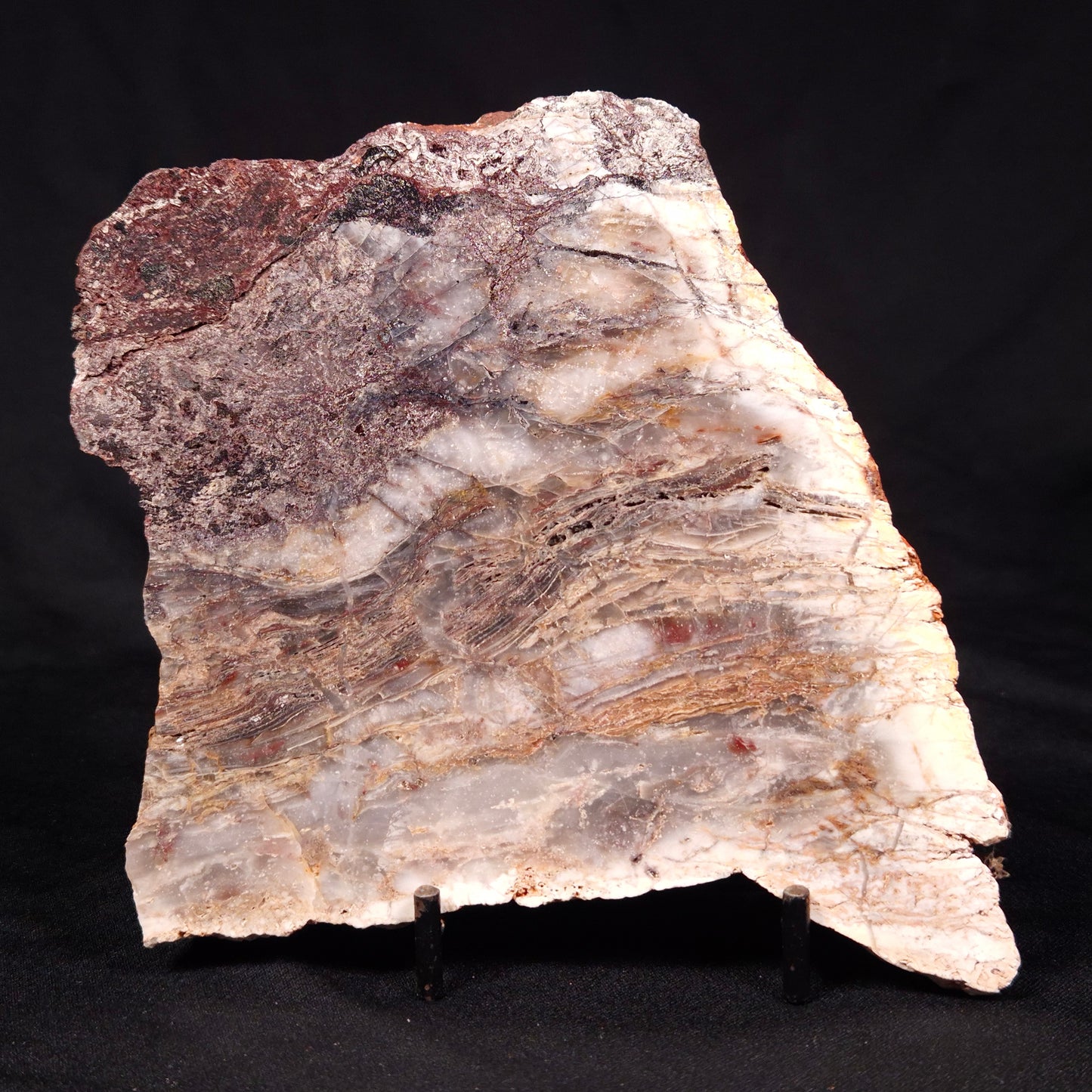 STROMATOLITE MICROBIAL MAT, Archean, Dresser Formation, Australia ZDF024
