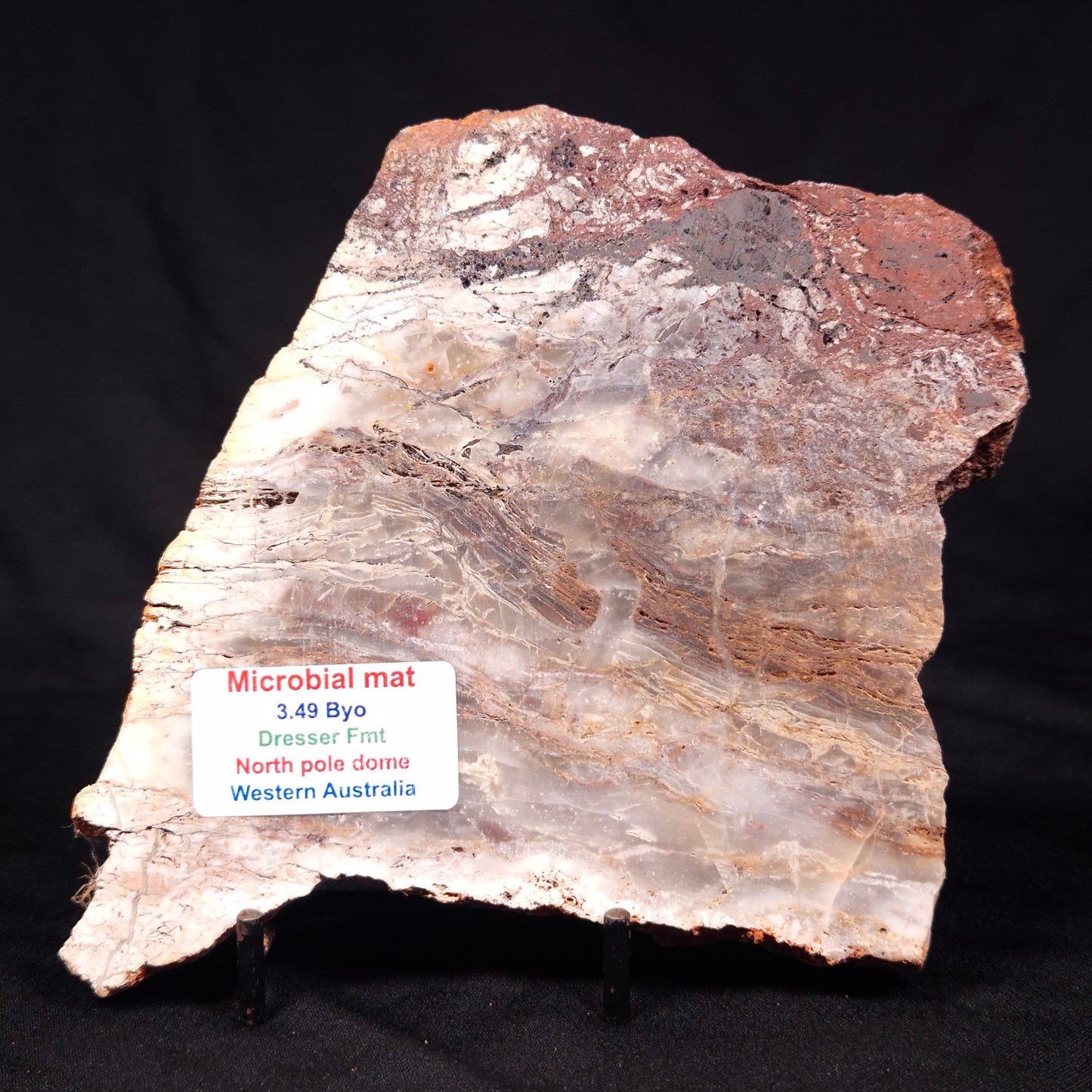 STROMATOLITE MICROBIAL MAT, Archean, Dresser Formation, Australia ZDF024