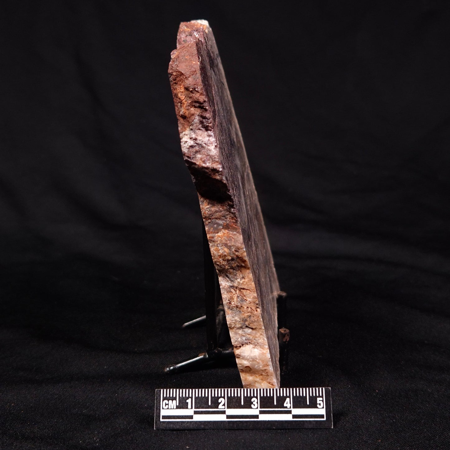 STROMATOLITE MICROBIAL MAT, Archean, Dresser Formation, Australia ZDF024