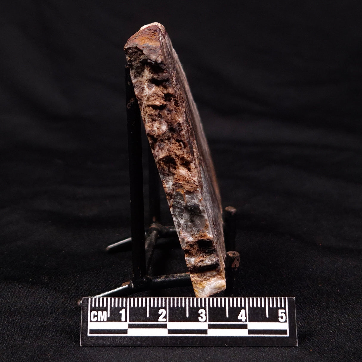 STROMATOLITE MICROBIAL MAT, Archean, Dresser Formation, Australia ZDF025