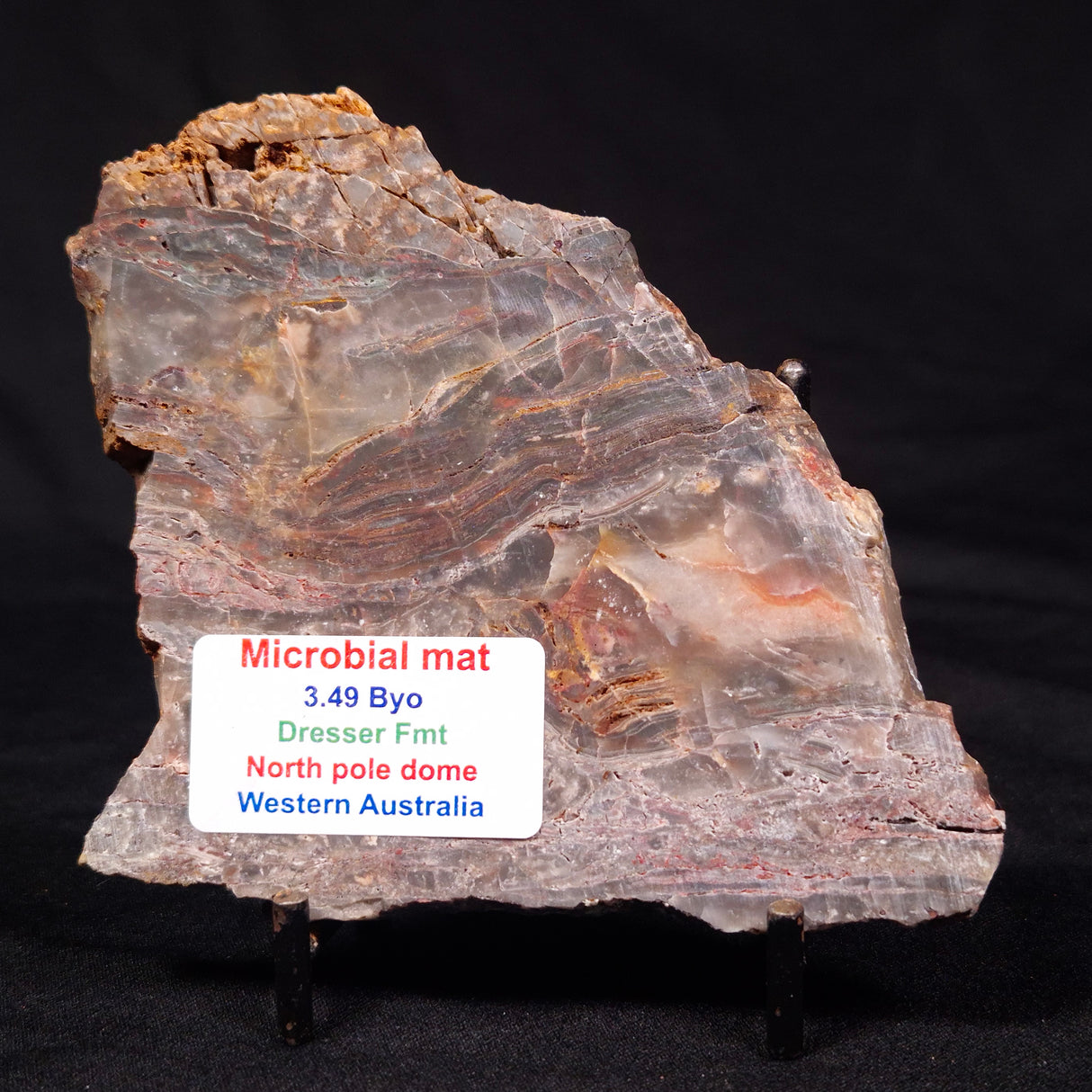 STROMATOLITE MICROBIAL MAT, Archean, Dresser Formation, Australia ZDF026