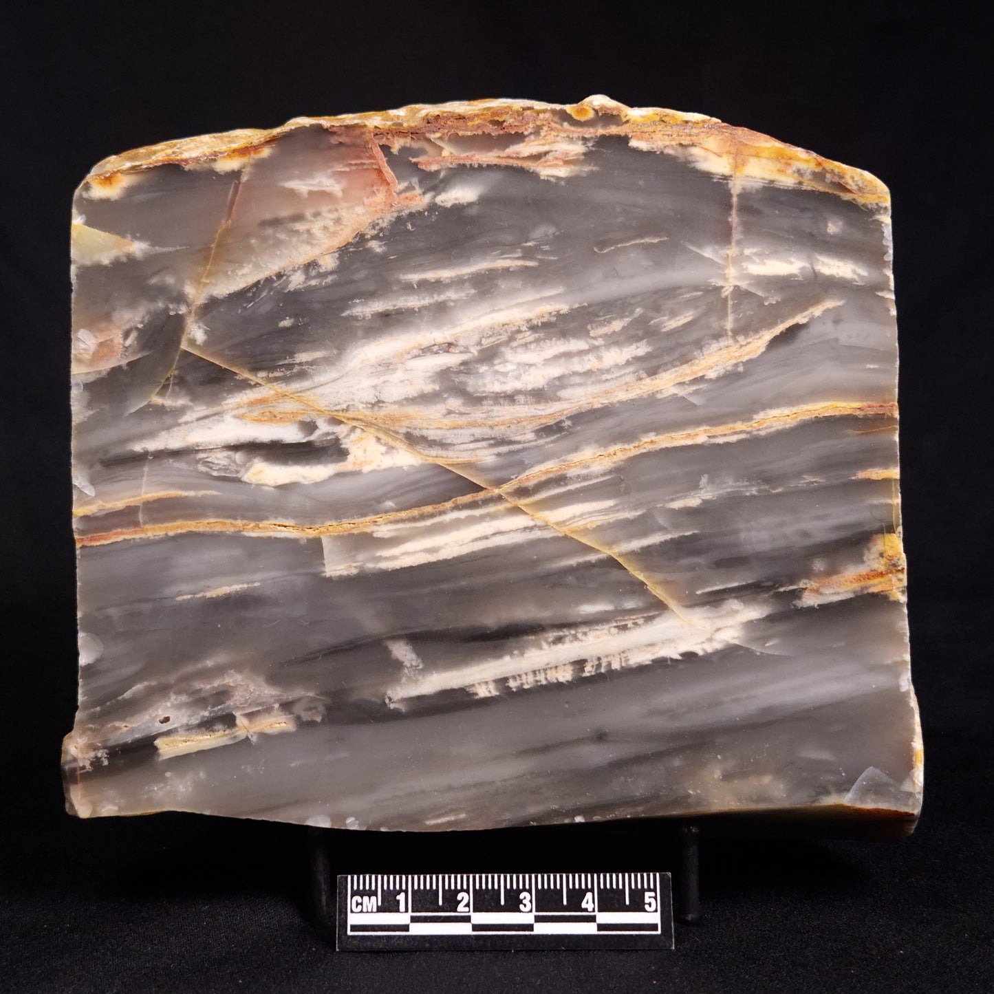 MOUNT MCGRATH STROMATOLITE, Lower Proterozoic, Australia ZMG025