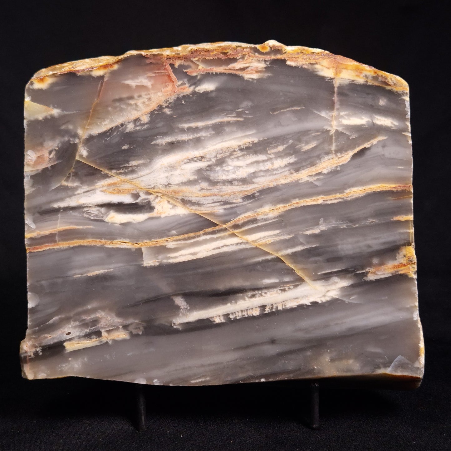 MOUNT MCGRATH STROMATOLITE, Lower Proterozoic, Australia ZMG025