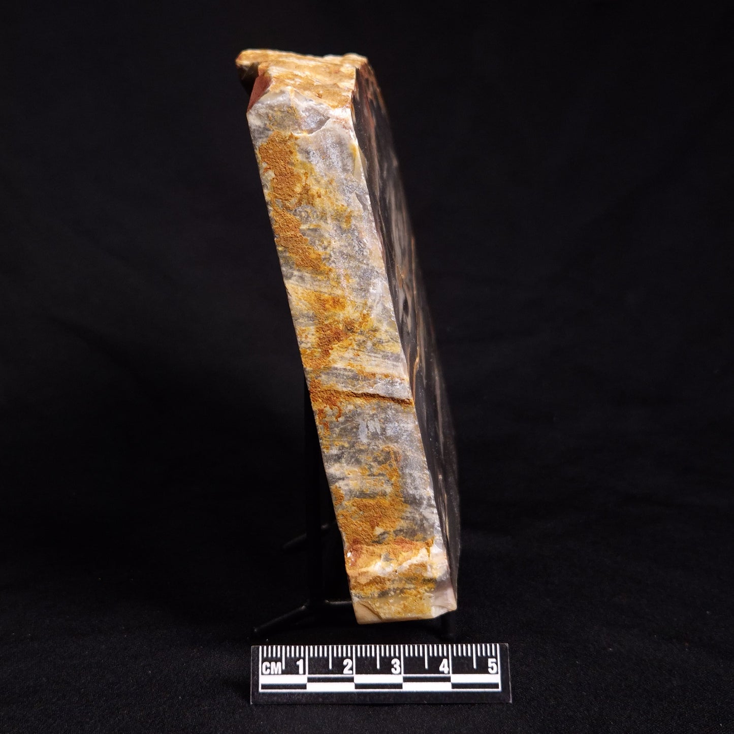 MOUNT MCGRATH STROMATOLITE, Lower Proterozoic, Australia ZMG025