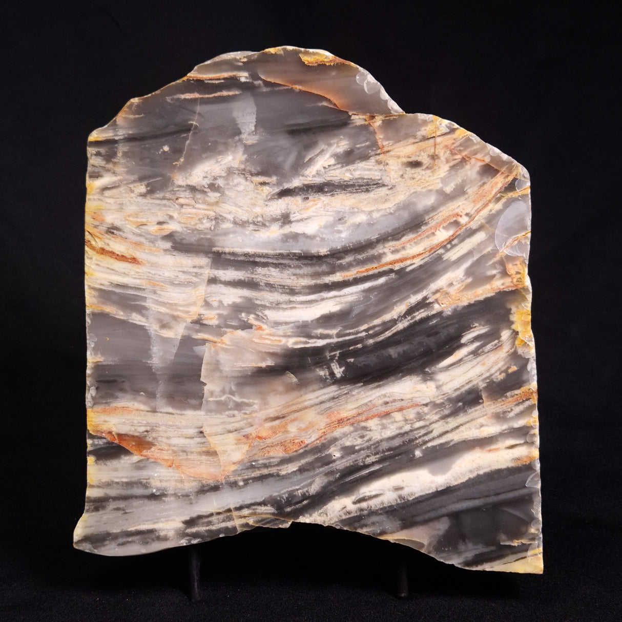 MOUNT MCGRATH STROMATOLITE, Lower Proterozoic, Australia ZMG026
