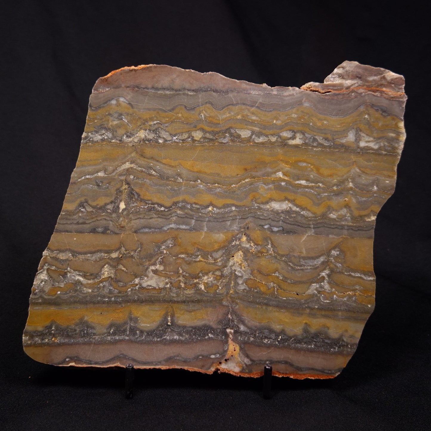 STROMATOLITE, Duck Creek, Lower Proterozoic, Australia ZDC016