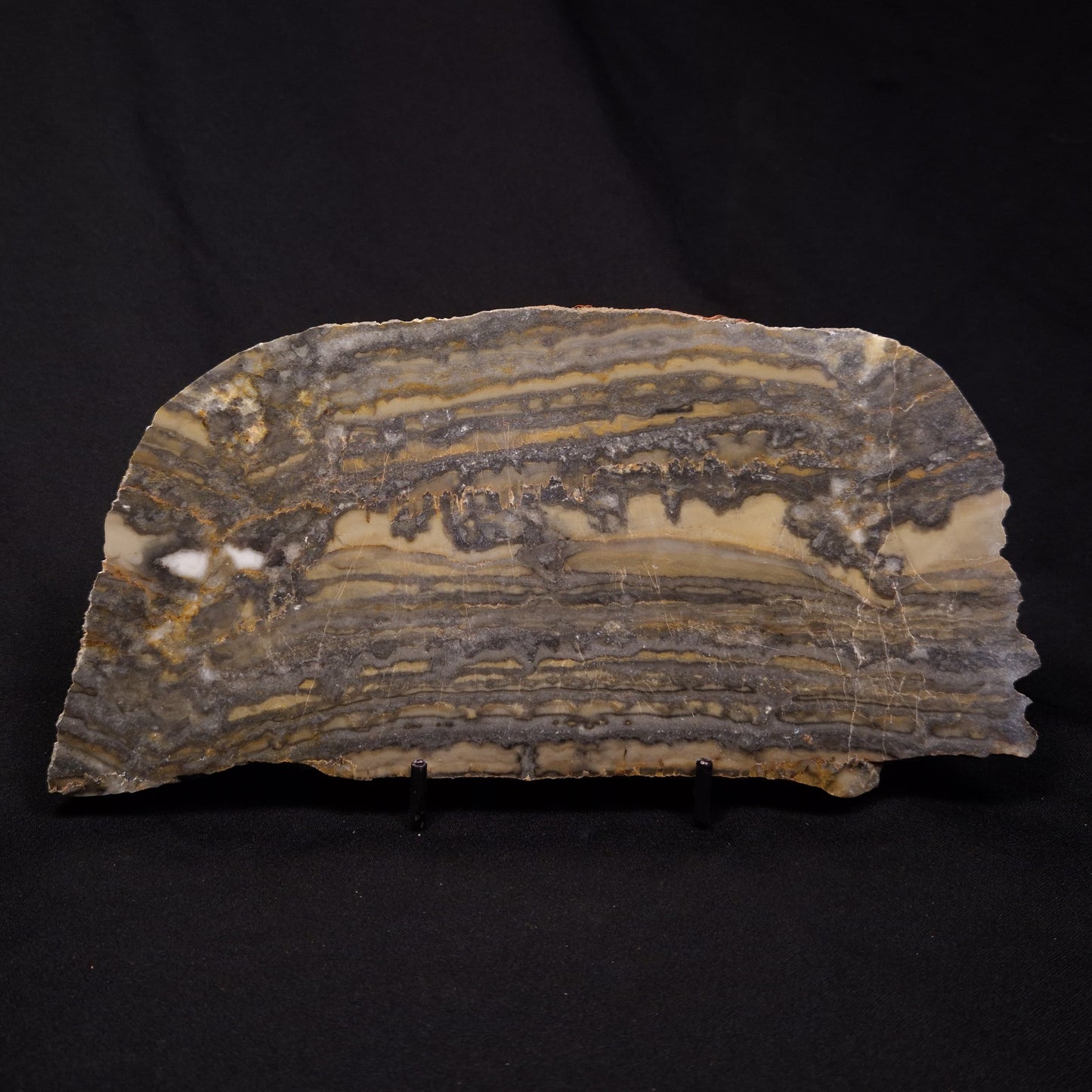 STROMATOLITE, Duck Creek, Lower Proterozoic, Australia ZDC017