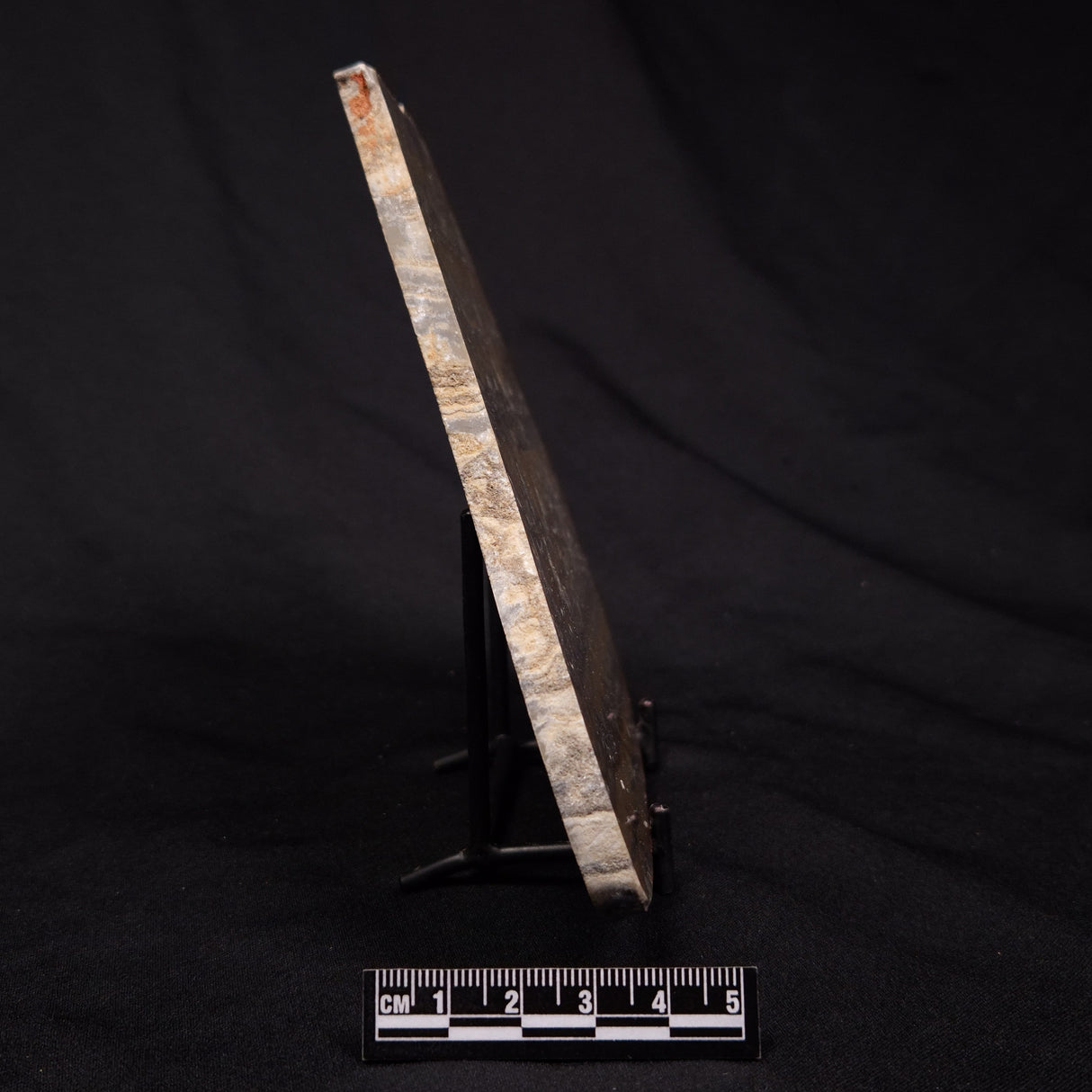 STROMATOLITE, Duck Creek, Lower Proterozoic, Australia ZDC018