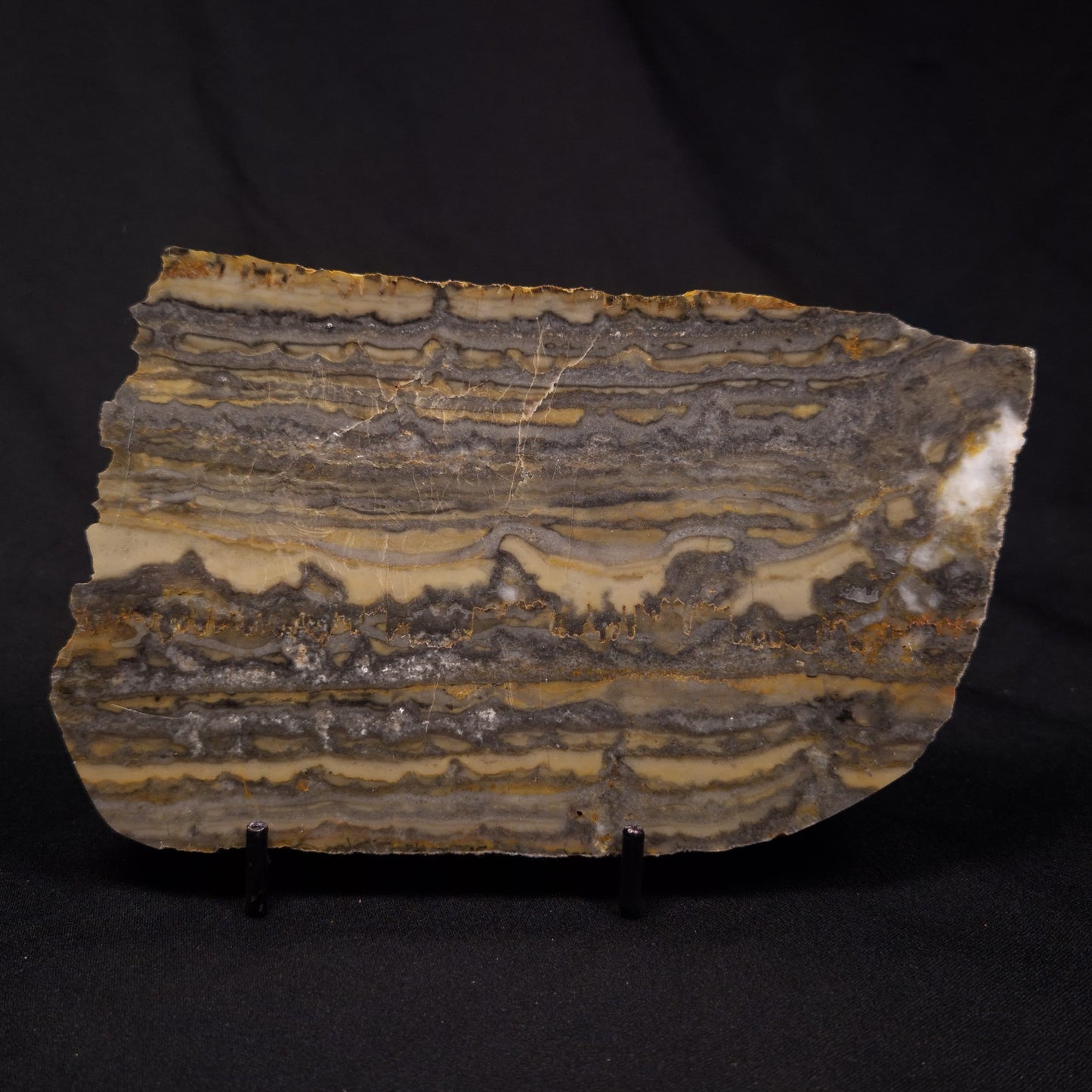 STROMATOLITE, Duck Creek, Lower Proterozoic, Australia ZDC019