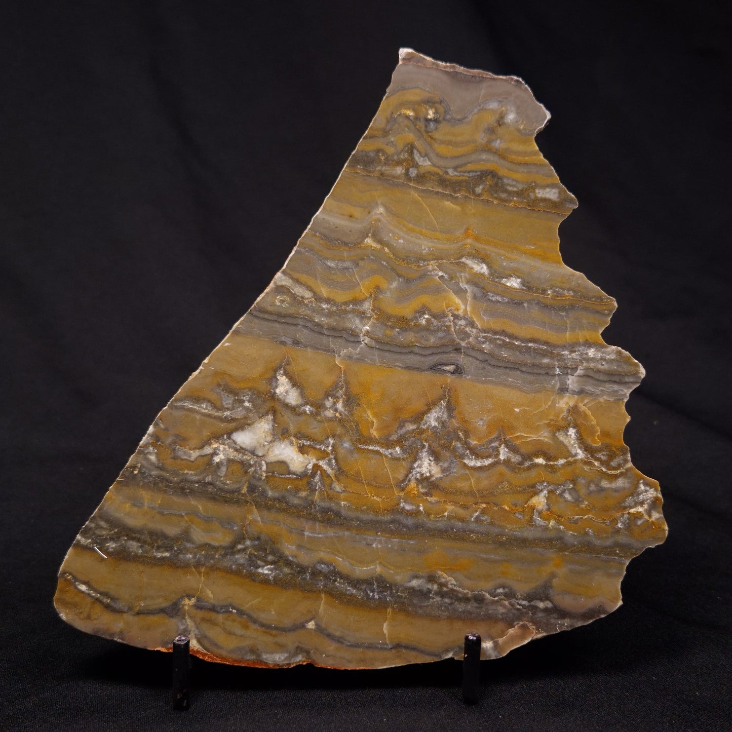 STROMATOLITE, Duck Creek, Lower Proterozoic, Australia ZDC020