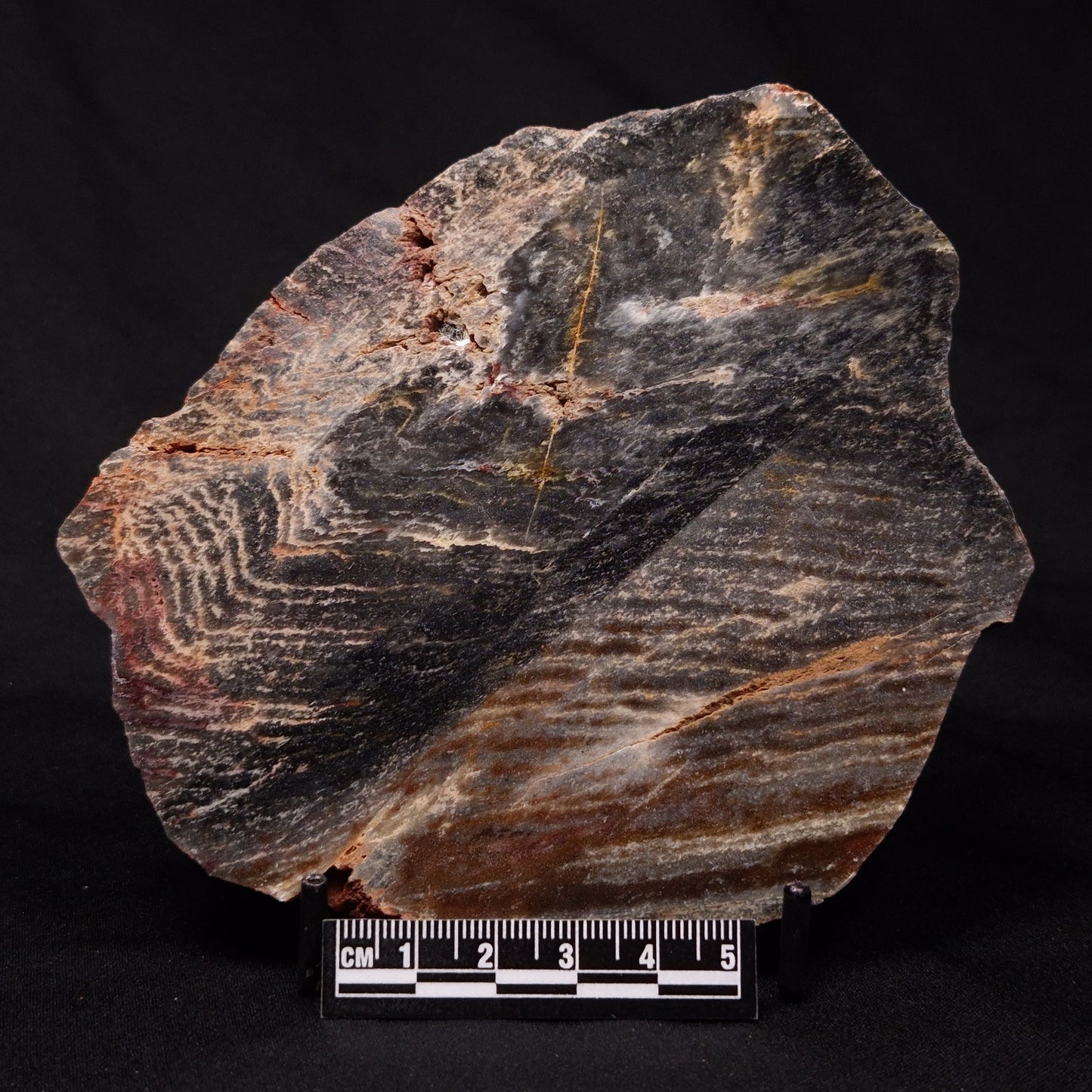 STROMATOLITE, Archean, Australia ZSL015
