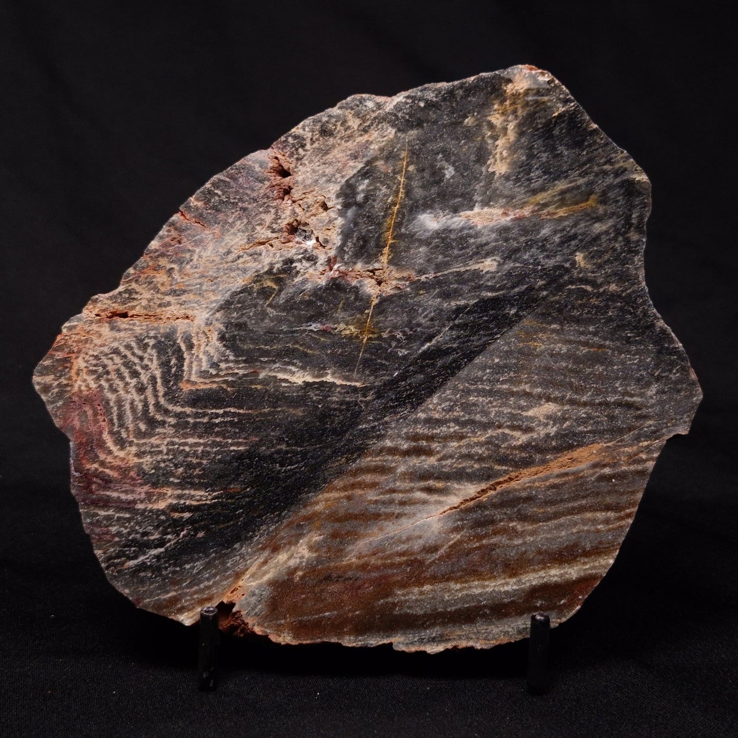 STROMATOLITE, Archean, Australia ZSL015