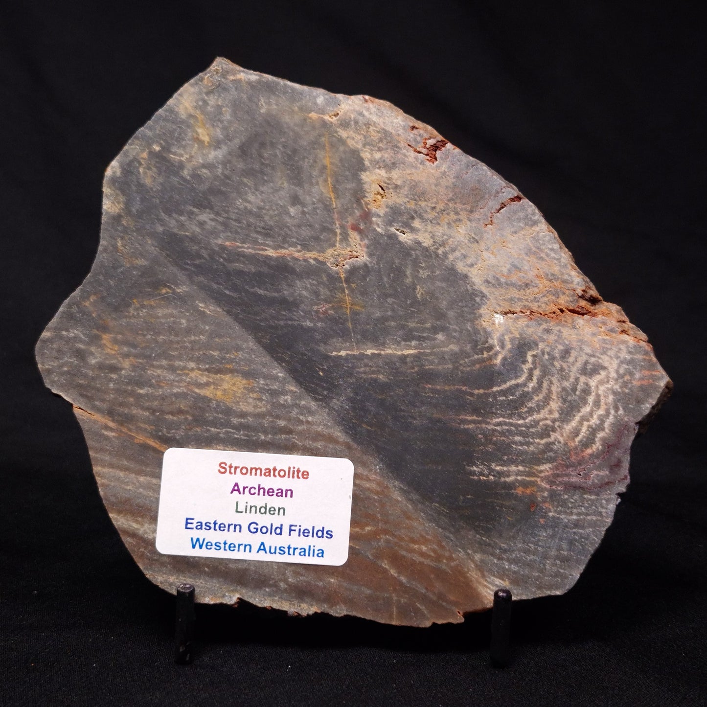STROMATOLITE, Archean, Australia ZSL015