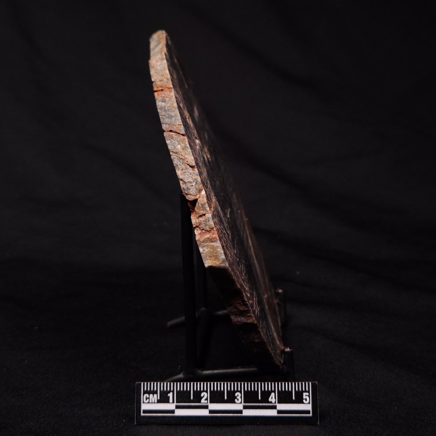 STROMATOLITE, Archean, Australia ZSL015