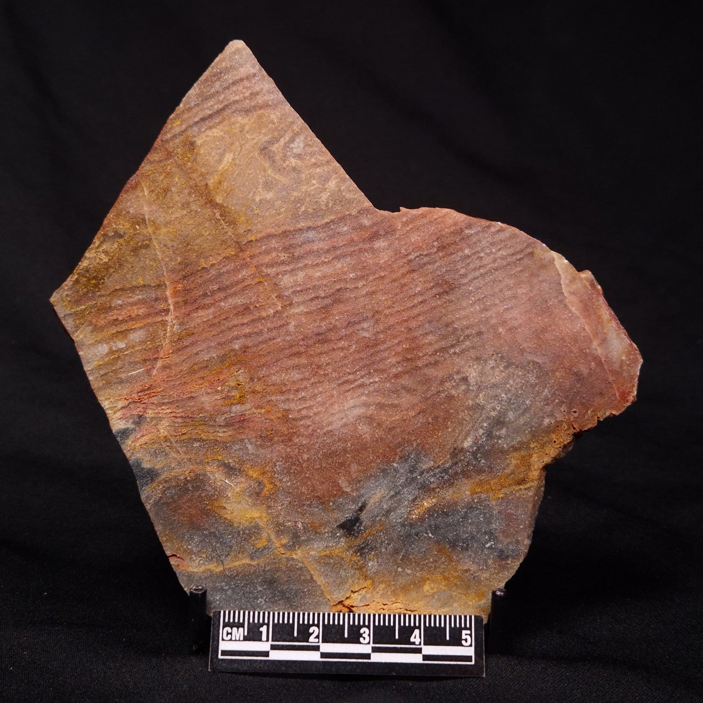 STROMATOLITE, Archean, Australia ZSL017