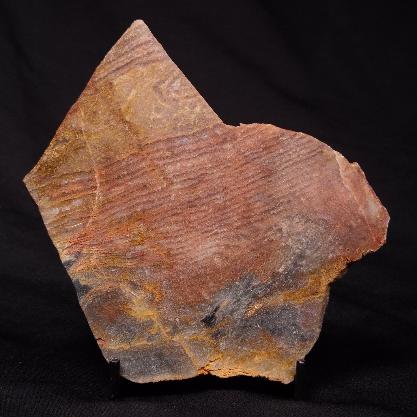 STROMATOLITE, Archean, Australia ZSL017