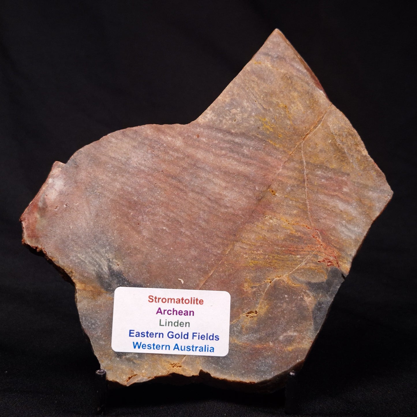 STROMATOLITE, Archean, Australia ZSL017