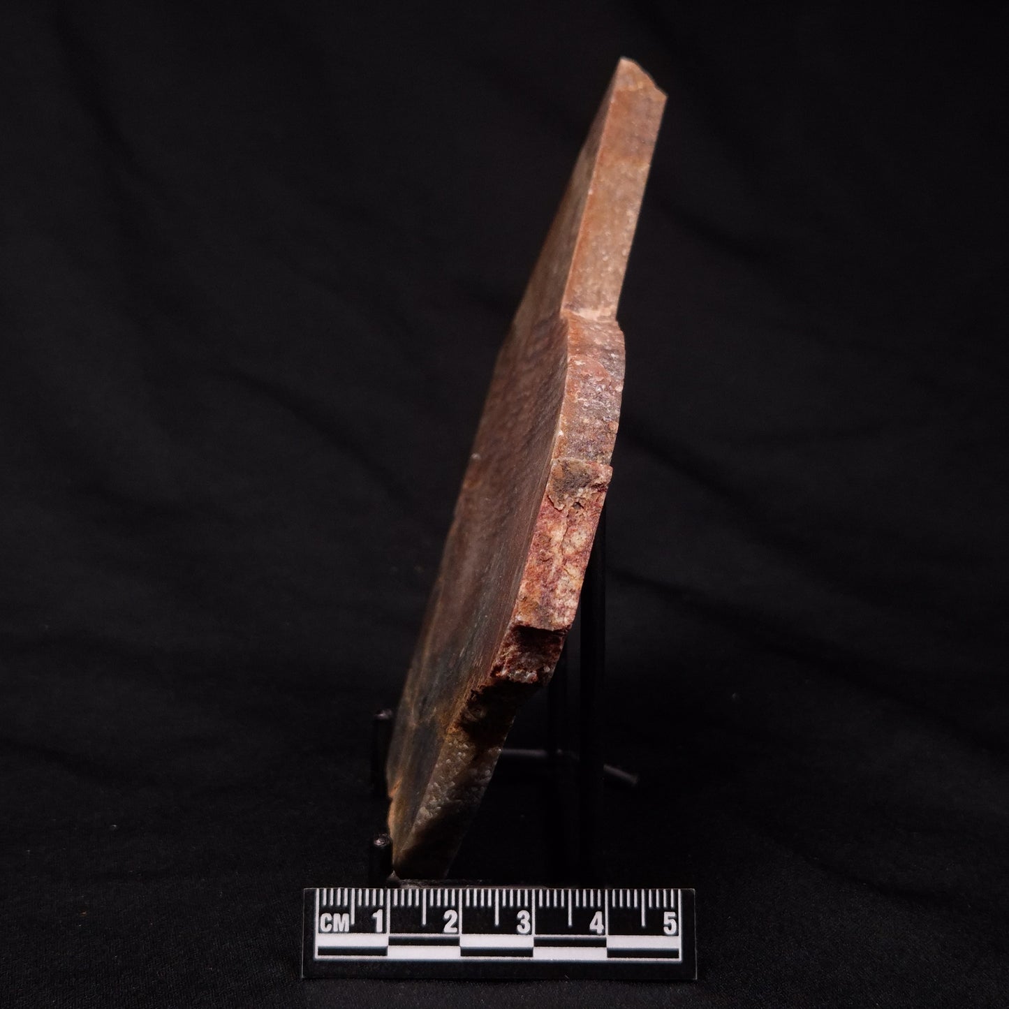 STROMATOLITE, Archean, Australia ZSL017