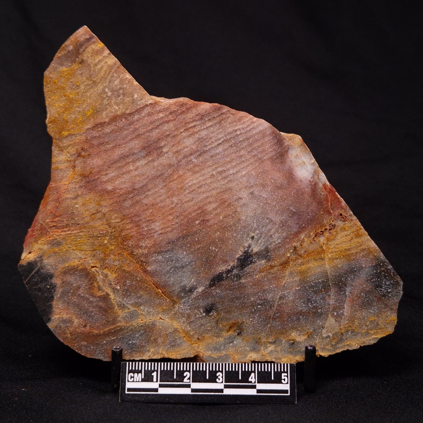 STROMATOLITE, Archean, Australia ZSL018