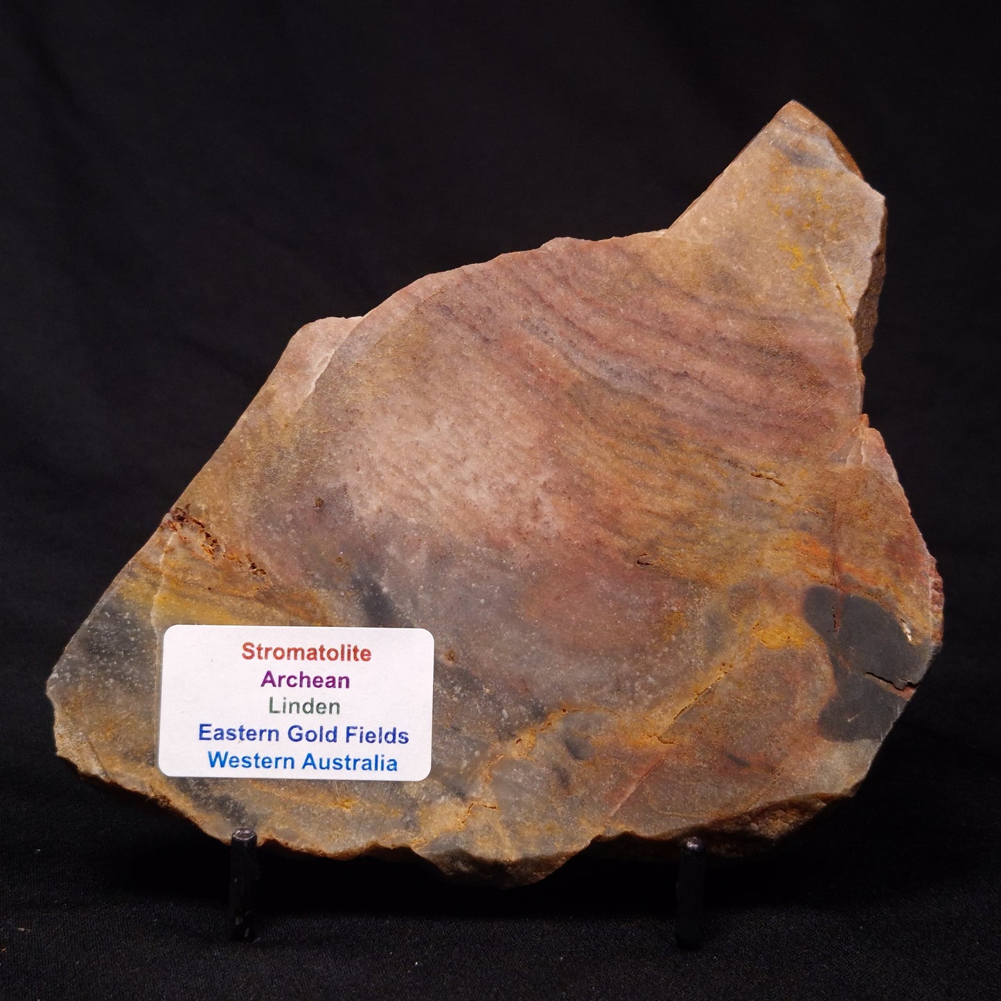 STROMATOLITE, Archean, Australia ZSL018