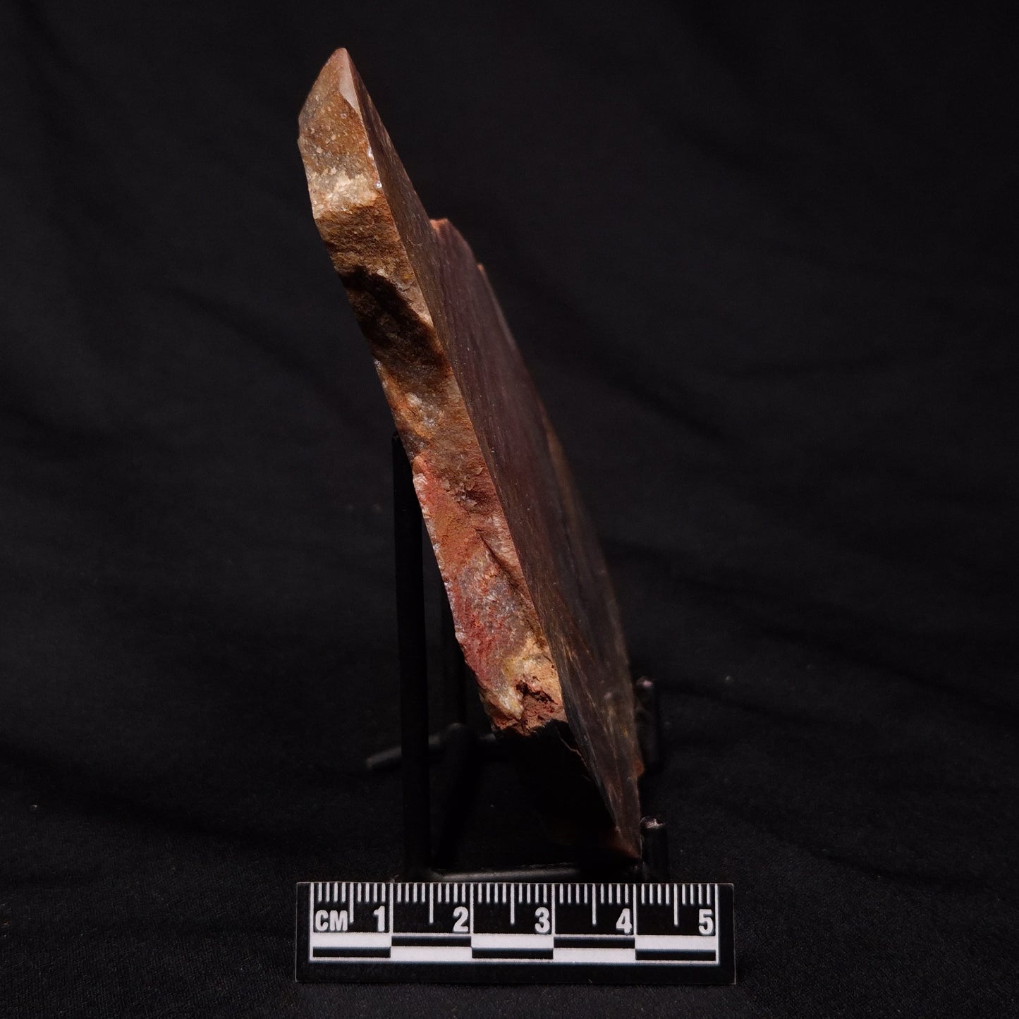 STROMATOLITE, Archean, Australia ZSL018