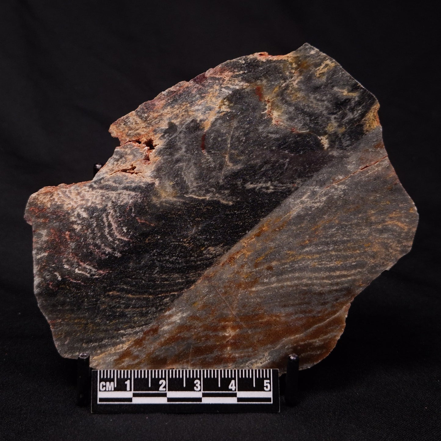 STROMATOLITE, Archean, Australia ZSL019