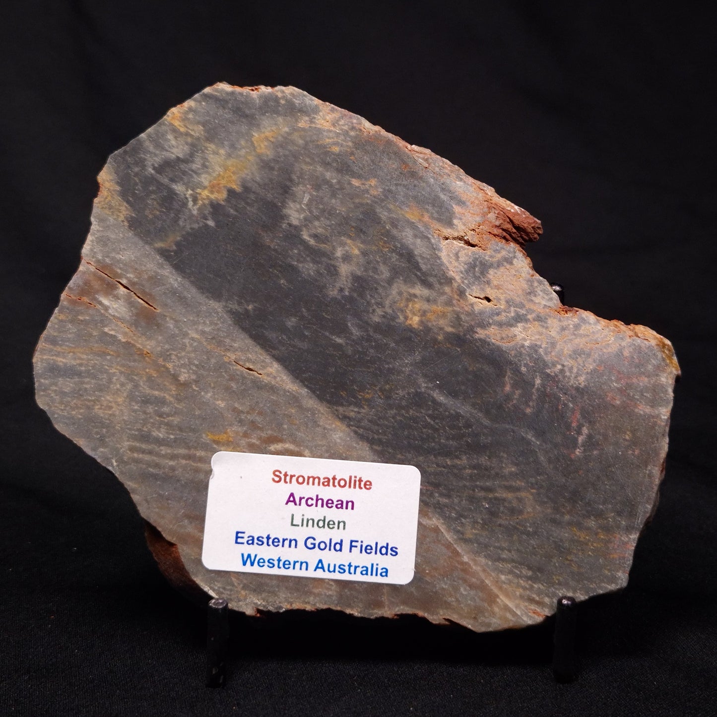 STROMATOLITE, Archean, Australia ZSL019