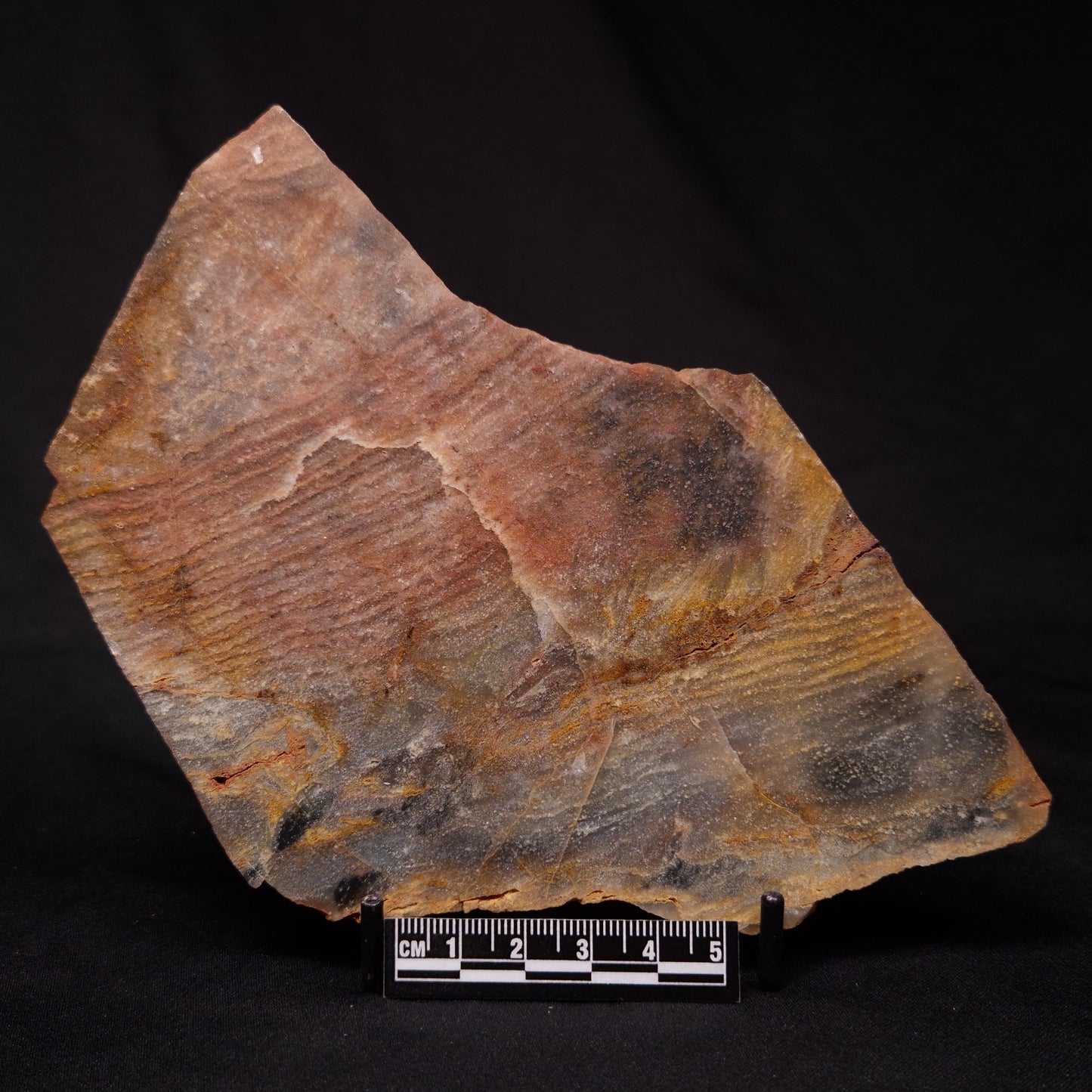 STROMATOLITE, Archean, Australia ZSL022